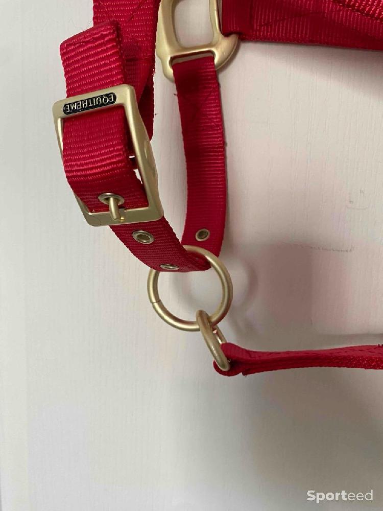 Equitation - Licol « Nylon » Cob/Pur-sang rouge - photo 4