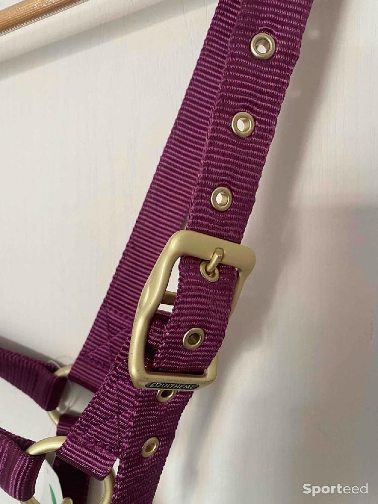 Equitation - Licol « Nylon » Cheval bordeaux - photo 3