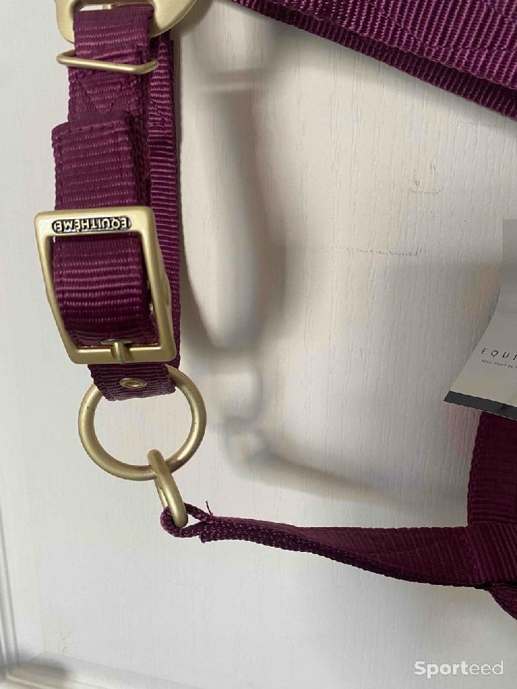 Equitation - Licol « Nylon » Cheval bordeaux - photo 4