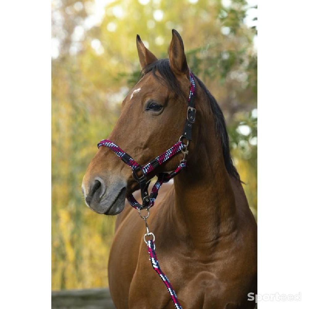 Equitation - Licol + Longe « Tressé » Cheval - photo 1