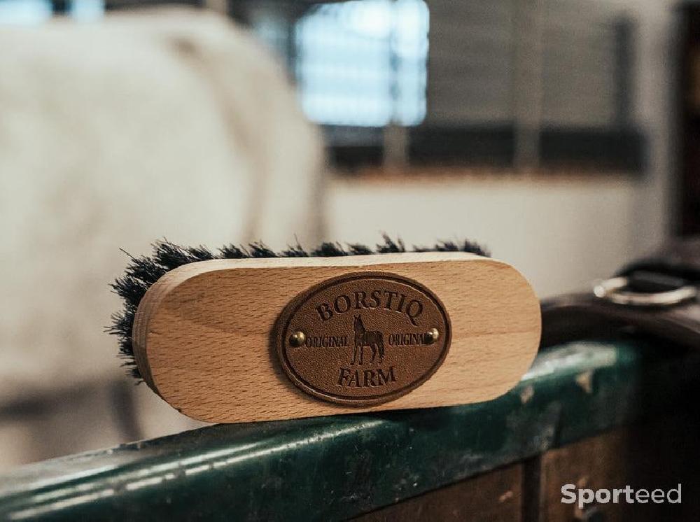 Equitation - Brosse de tête - photo 1