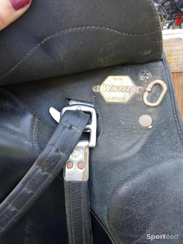 Equitation - Selle Wintec 2000 - photo 2