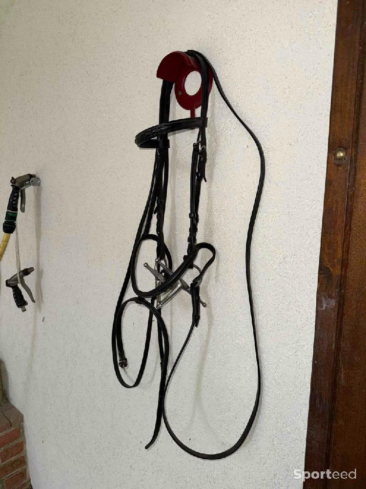 Equitation - Filet taille poney / mors  - photo 1