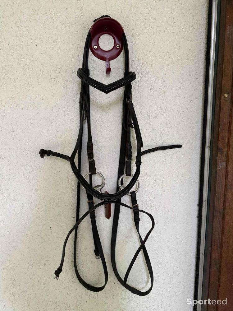 Equitation - Filet taille cheval / mors / rondelles - photo 1