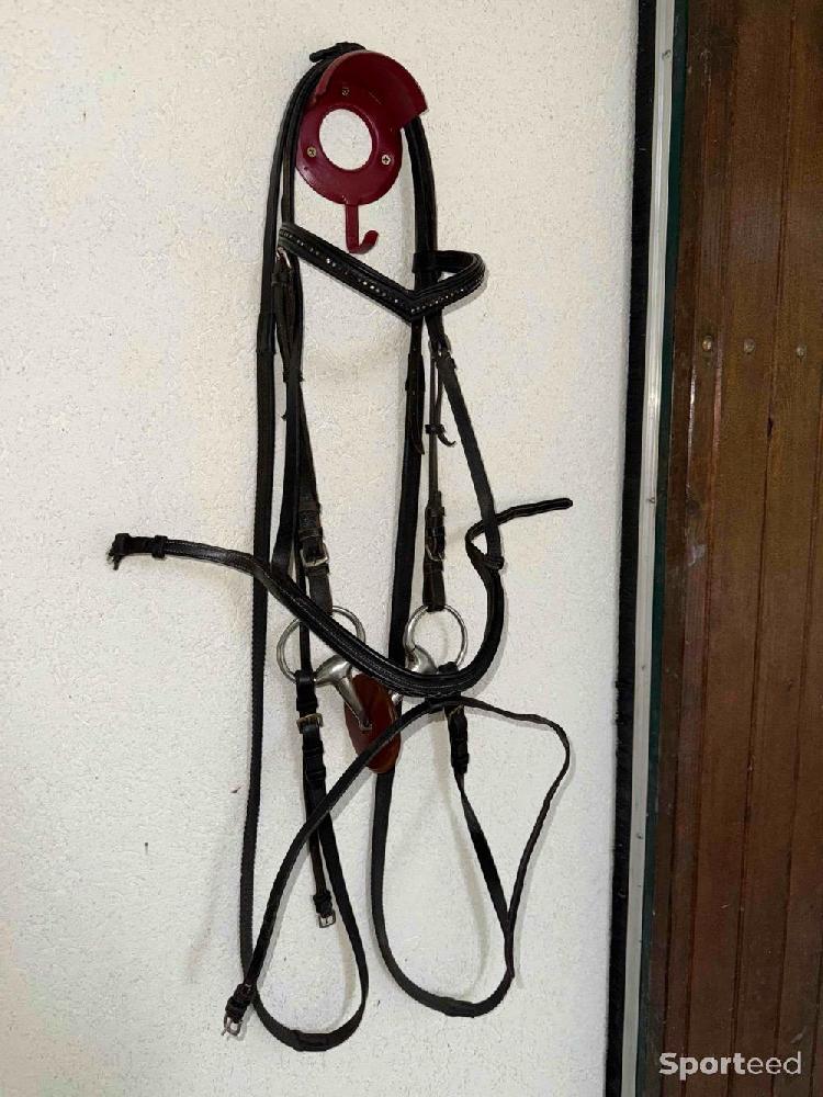 Equitation - Filet taille cheval / mors / rondelles - photo 2