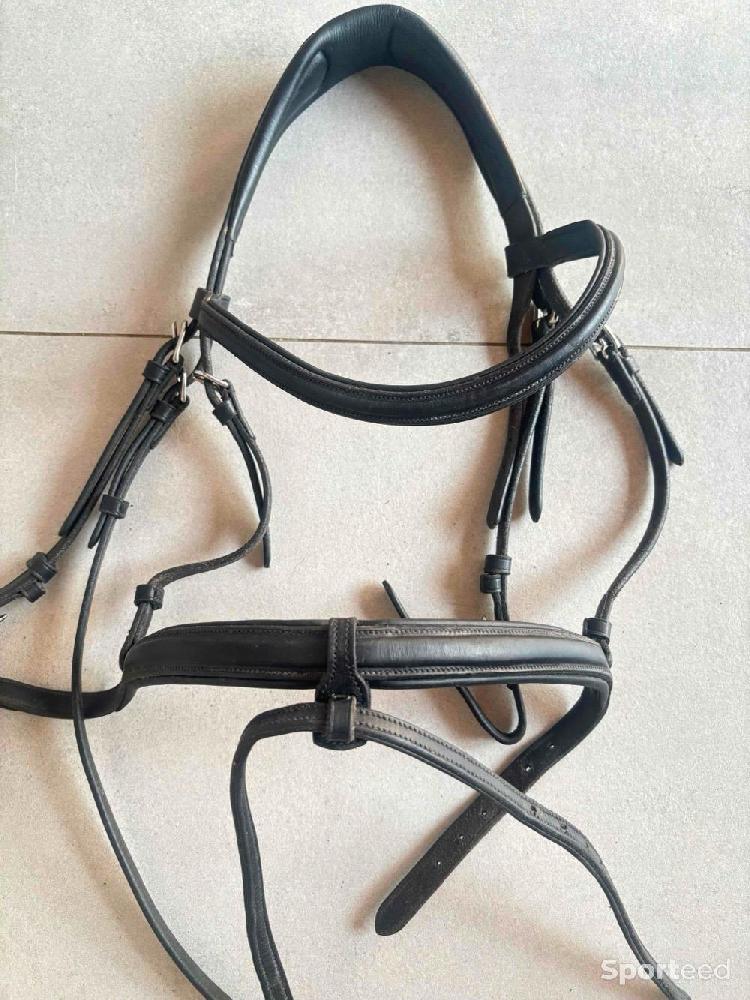 Equitation - filet schokemhole tokyo taille cob  - photo 1