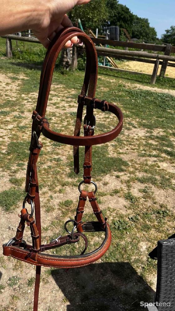 Equitation - Sidepull cuir cheval - photo 1