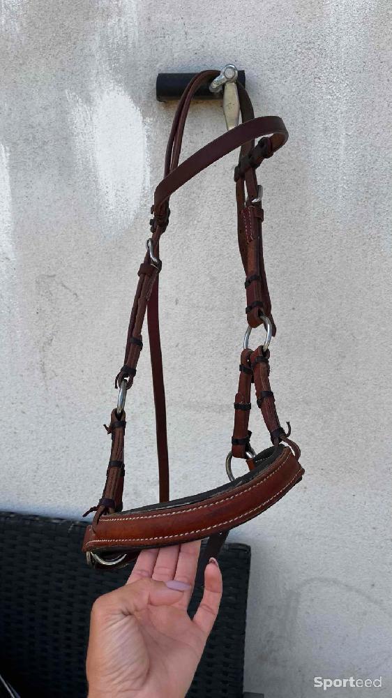 Equitation - Sidepull cuir cheval - photo 2