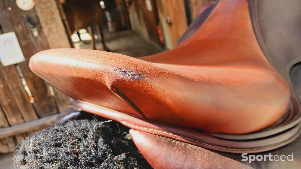 Equitation - Selle Cwd  - photo 3