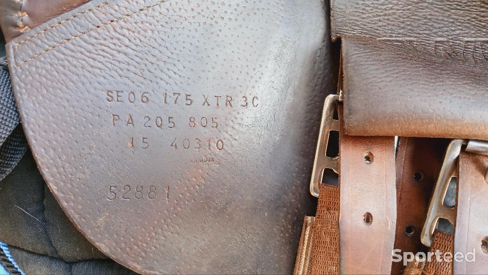 Equitation - Selle Cwd  - photo 5