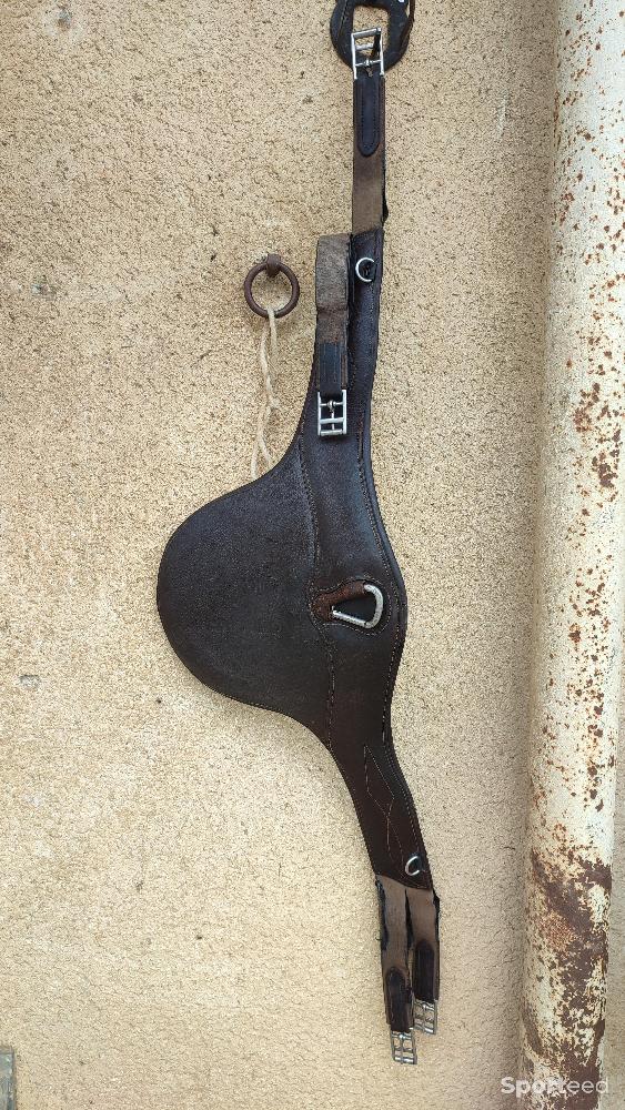 Equitation - Sangle bavette CWD 135 - photo 1
