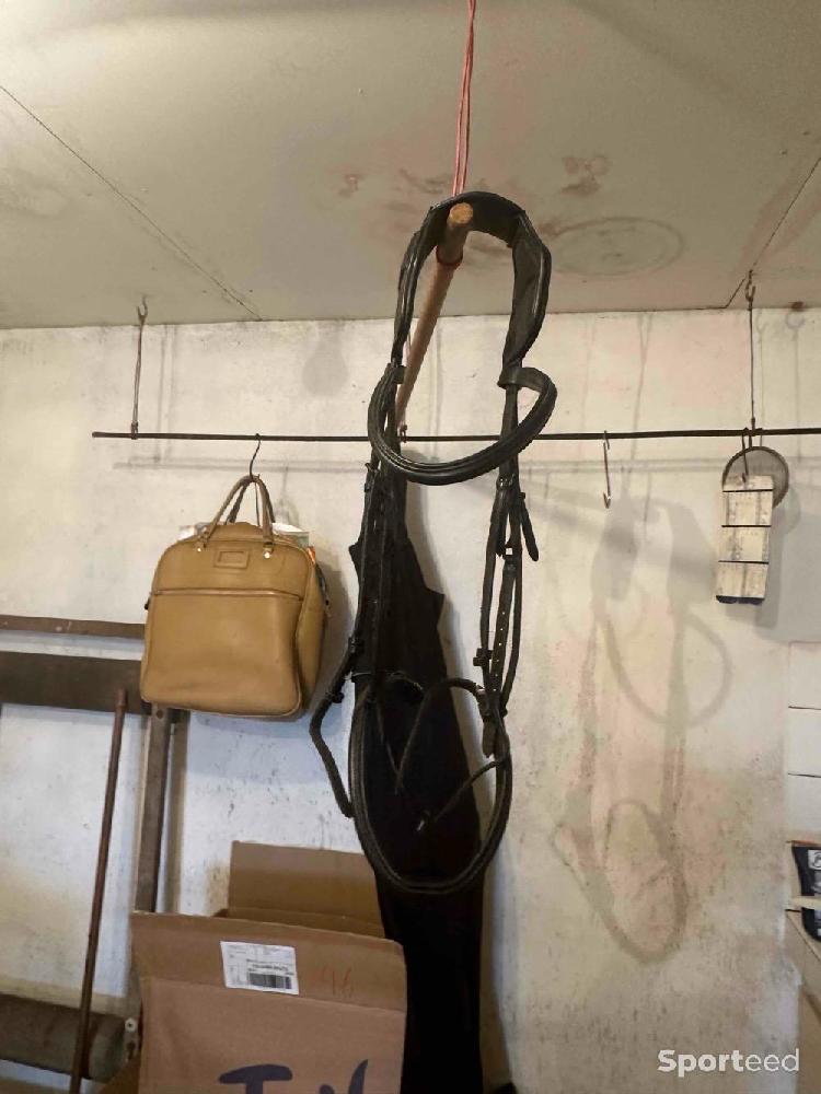 Equitation - Filet tdet  - photo 4