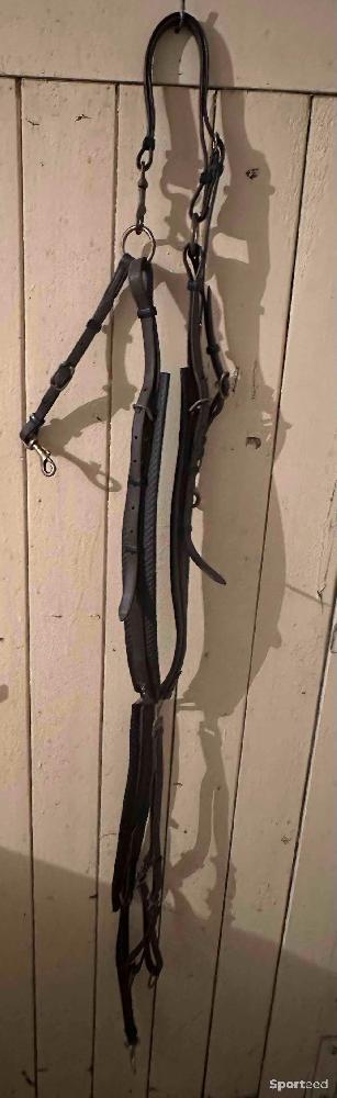 Equitation - Collier de chasse tdet - photo 4