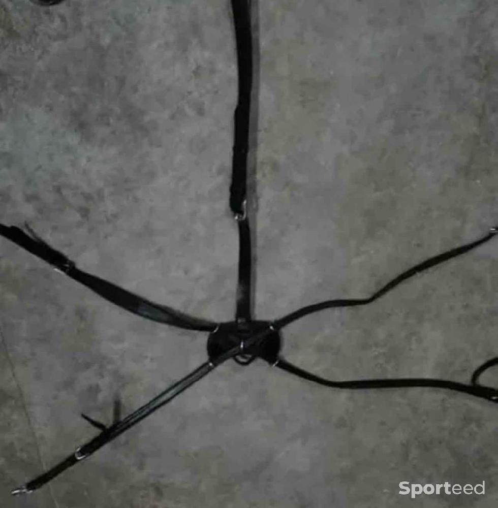 Equitation - Collier de chasse dyon  - photo 1