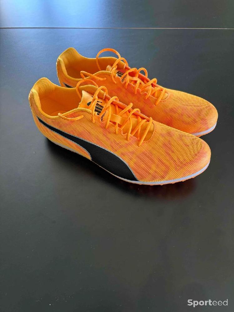 Athlétisme - Puma Evospeed Star 8 (pointes d’athlétisme)  - photo 2