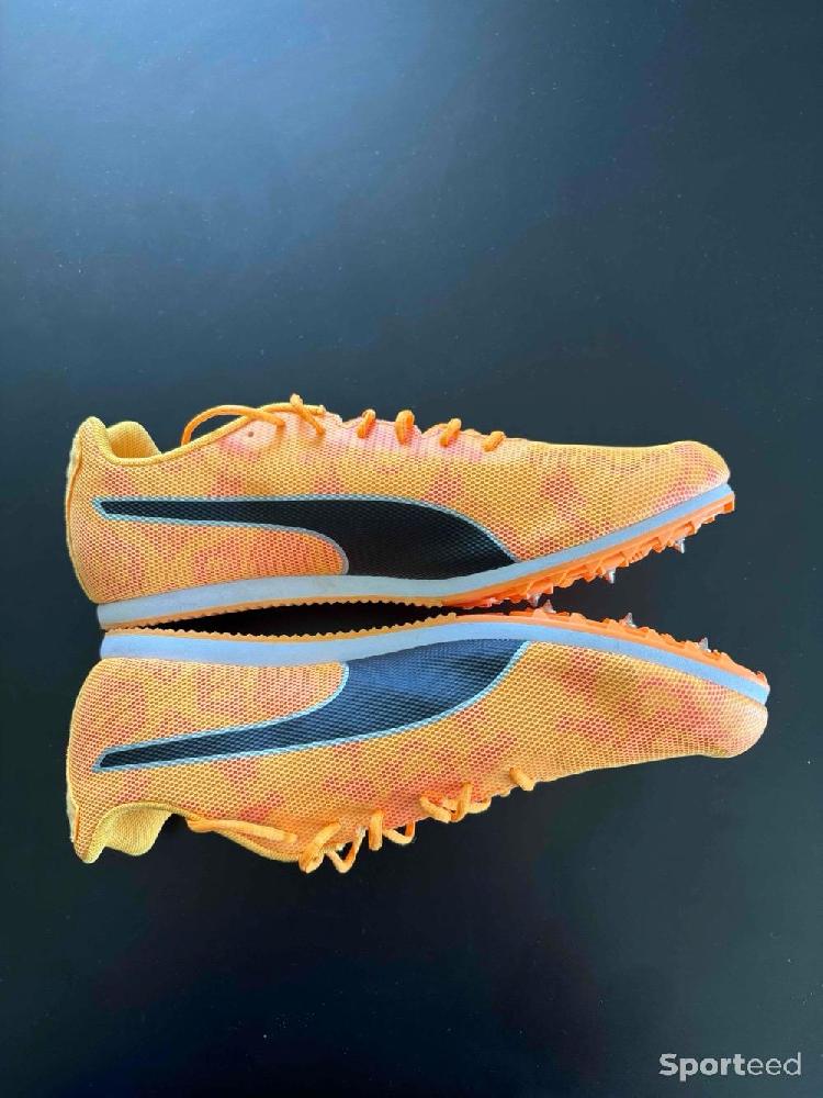 Athlétisme - Puma Evospeed Star 8 (pointes d’athlétisme)  - photo 4