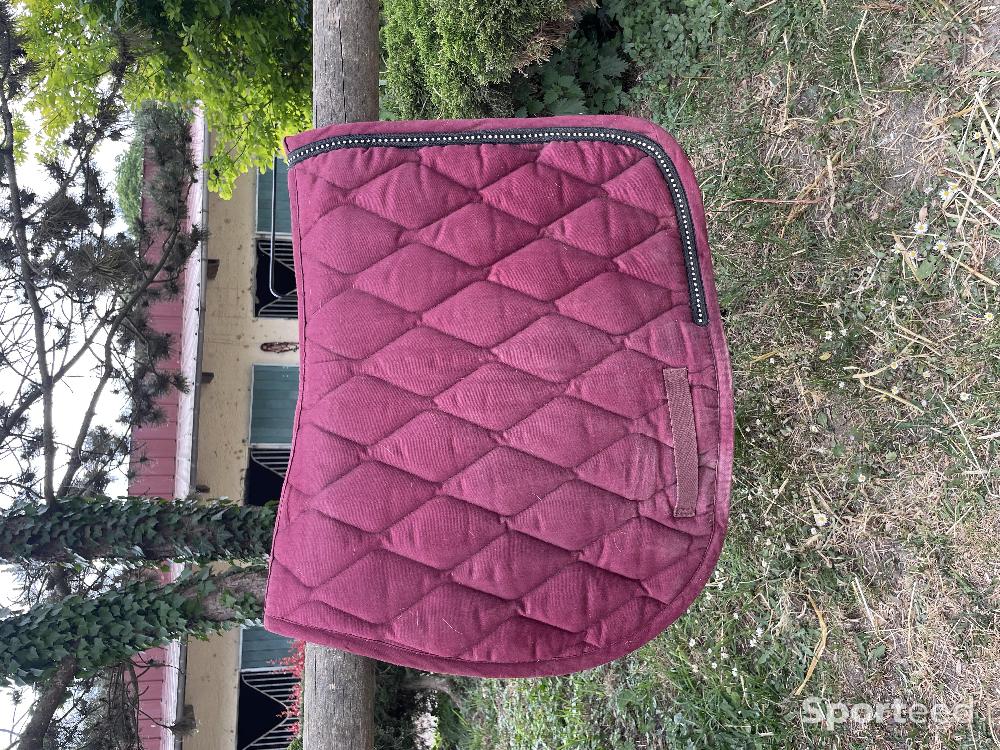 Equitation - Tapis équitation  - photo 1
