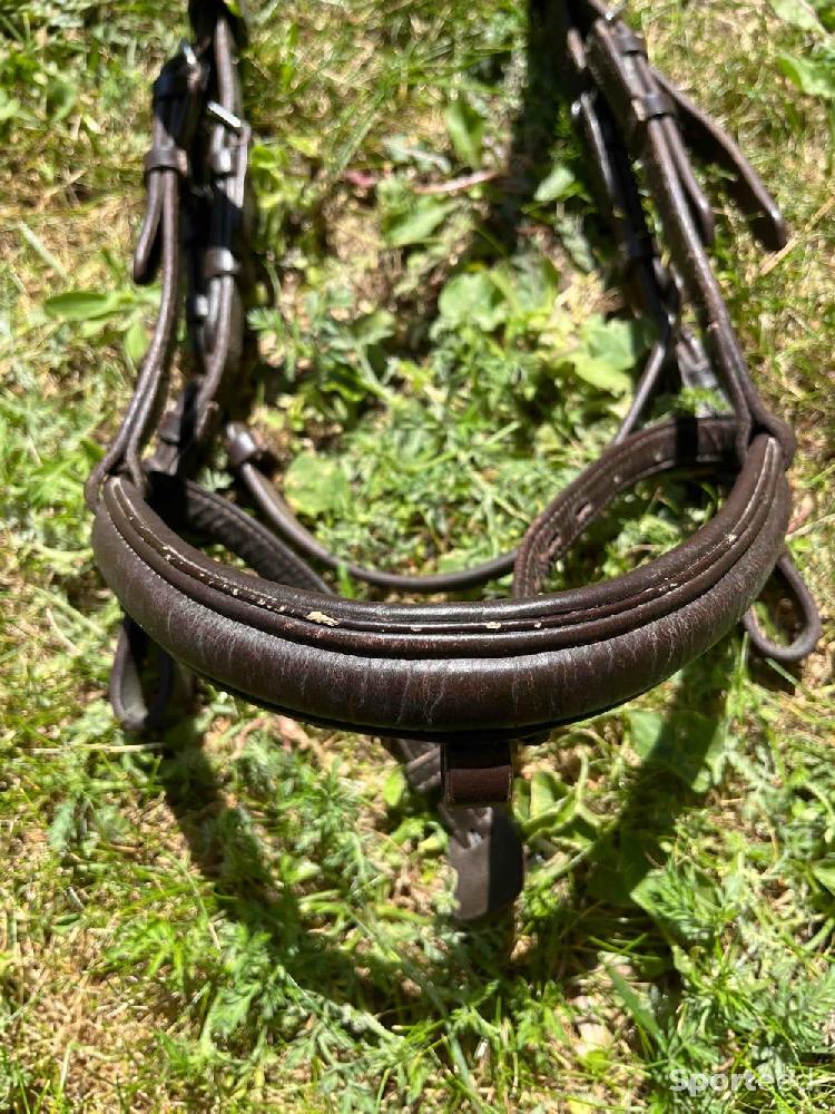 Equitation - Filet Time Rider - photo 3