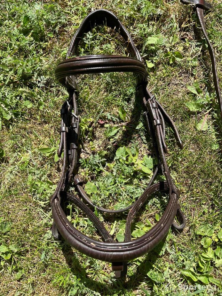 Equitation - Filet Time Rider - photo 4