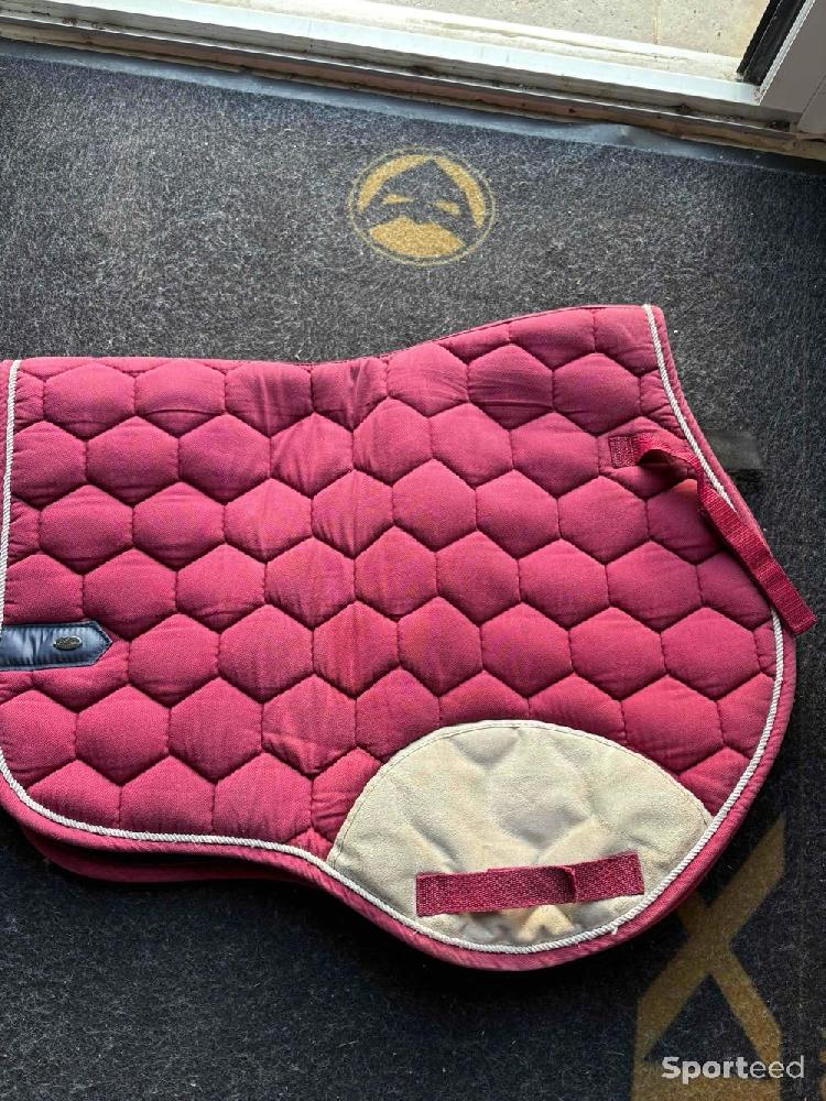 Equitation - Tapis taille poney  - photo 1