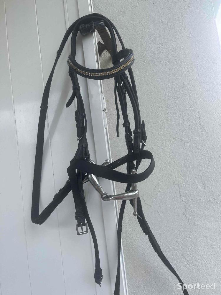 Equitation - Filet (bridon) - photo 1
