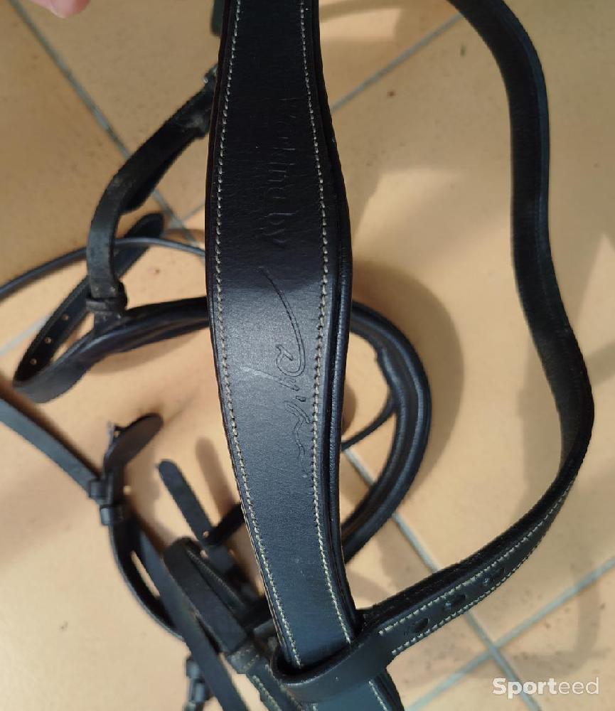 Equitation - Filet / Bridon Working Dyon - photo 3