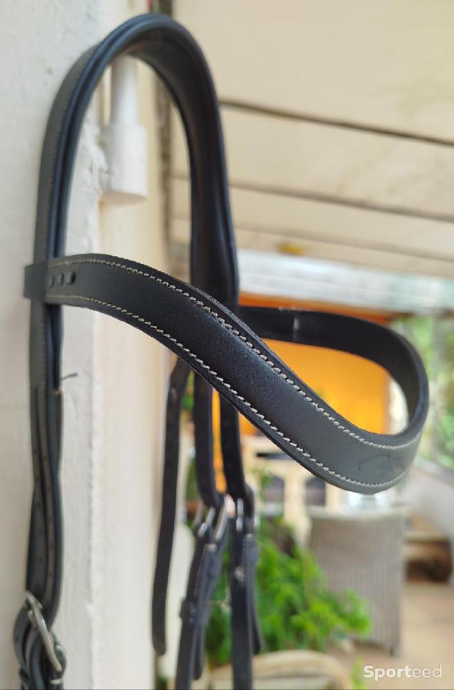 Equitation - Filet / Bridon Working Dyon - photo 4