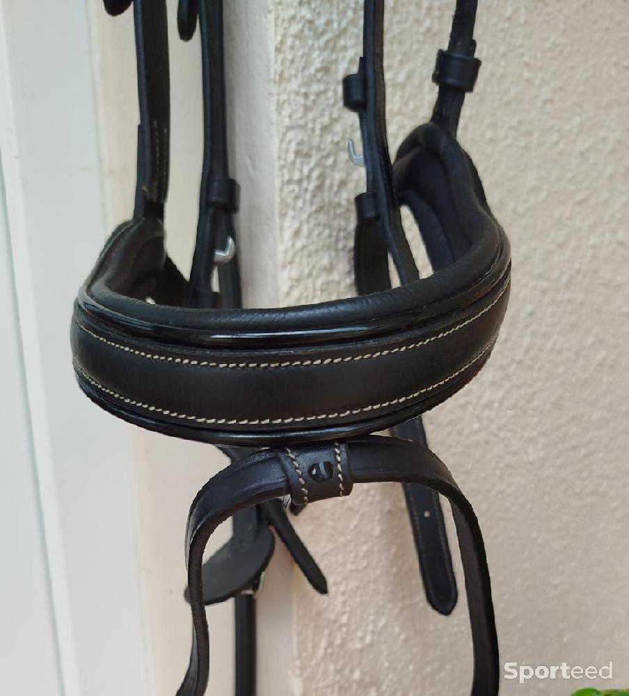 Equitation - Filet / Bridon Working Dyon - photo 5