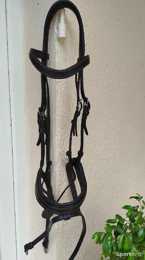Equitation - Filet / Bridon Working Dyon - photo 1