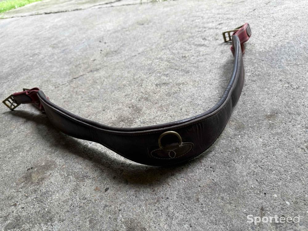 Equitation - Sangle cuir élastique marron/bordeau - photo 1