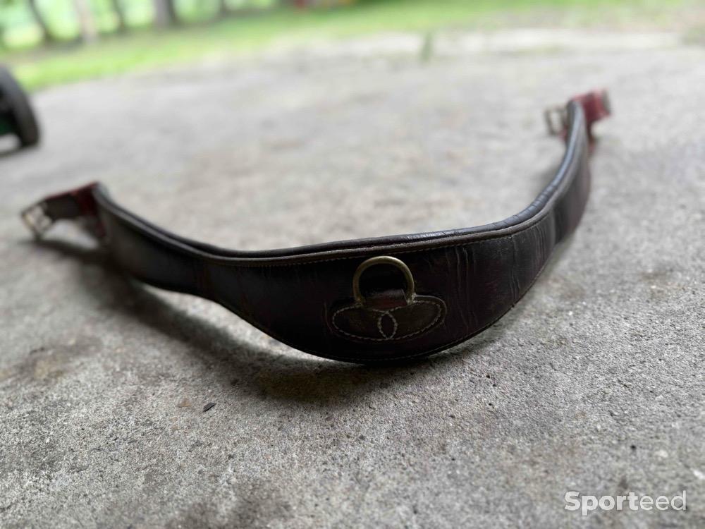 Equitation - Sangle cuir élastique marron/bordeau - photo 2