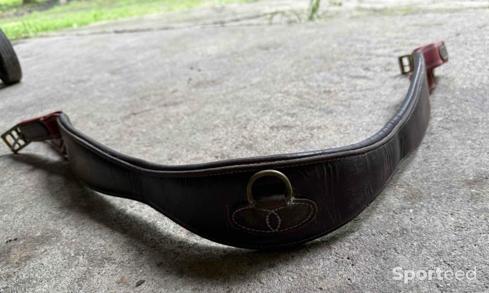 Equitation - Sangle cuir élastique marron/bordeau - photo 3
