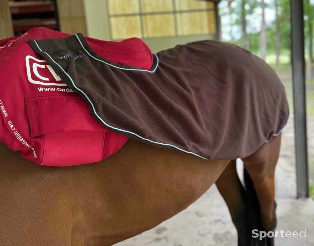 Equitation - Couvre reins polaire equi-theme  - photo 1