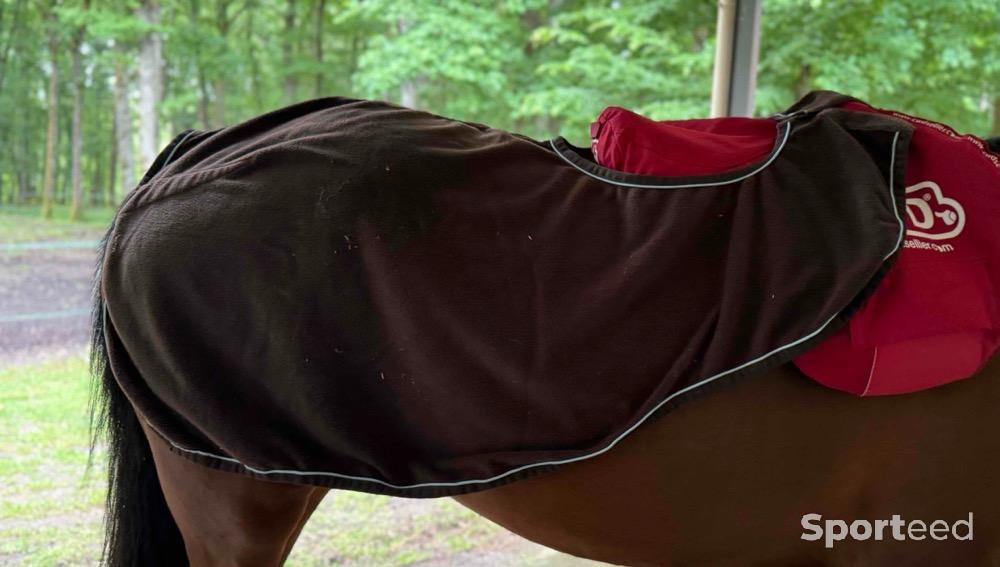 Equitation - Couvre reins polaire equi-theme  - photo 3