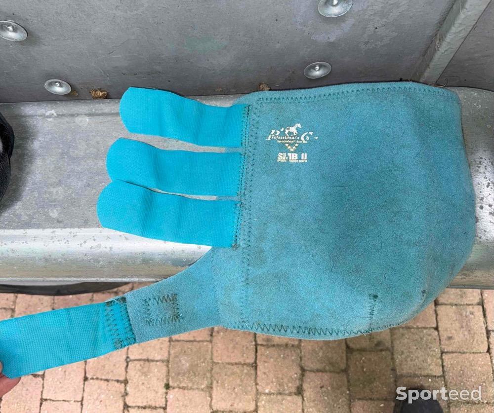Equitation - Guêtres SMBII turquoise  - photo 5