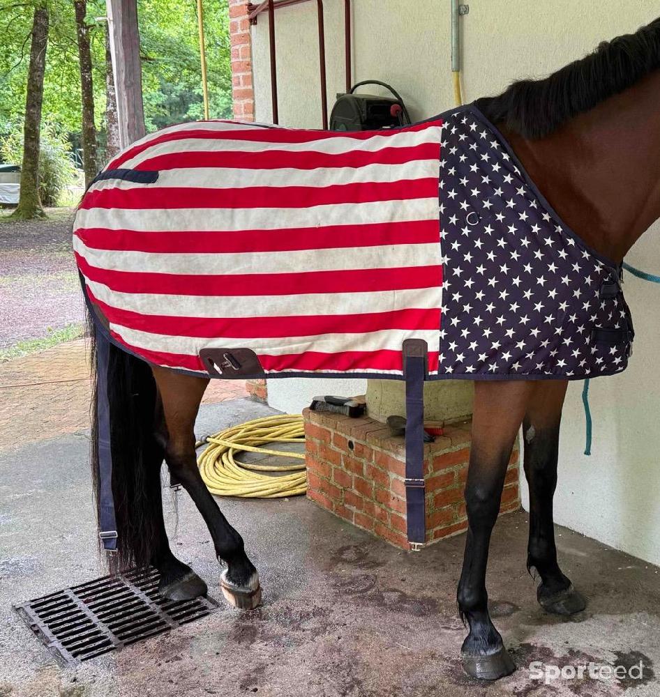 Equitation - Couverture américain Lami cell - photo 1