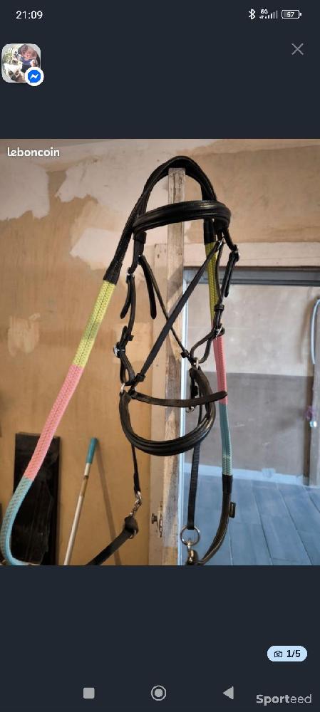 Equitation - Bitless - photo 3