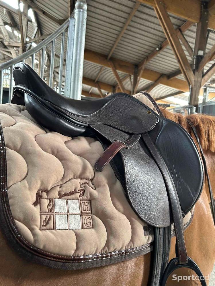 Equitation - Selle  - photo 1