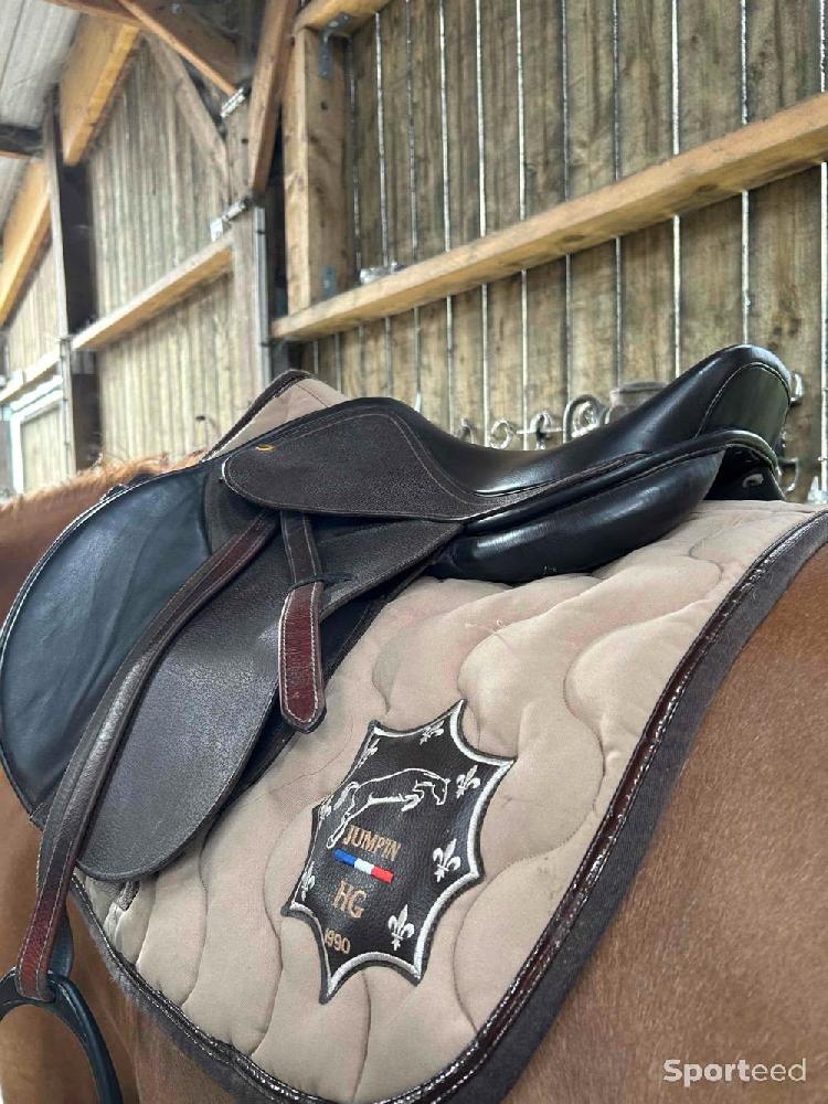 Equitation - Selle  - photo 4