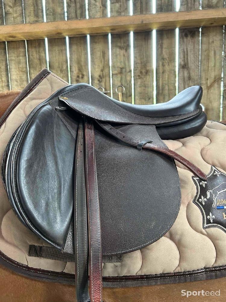 Equitation - Selle  - photo 5
