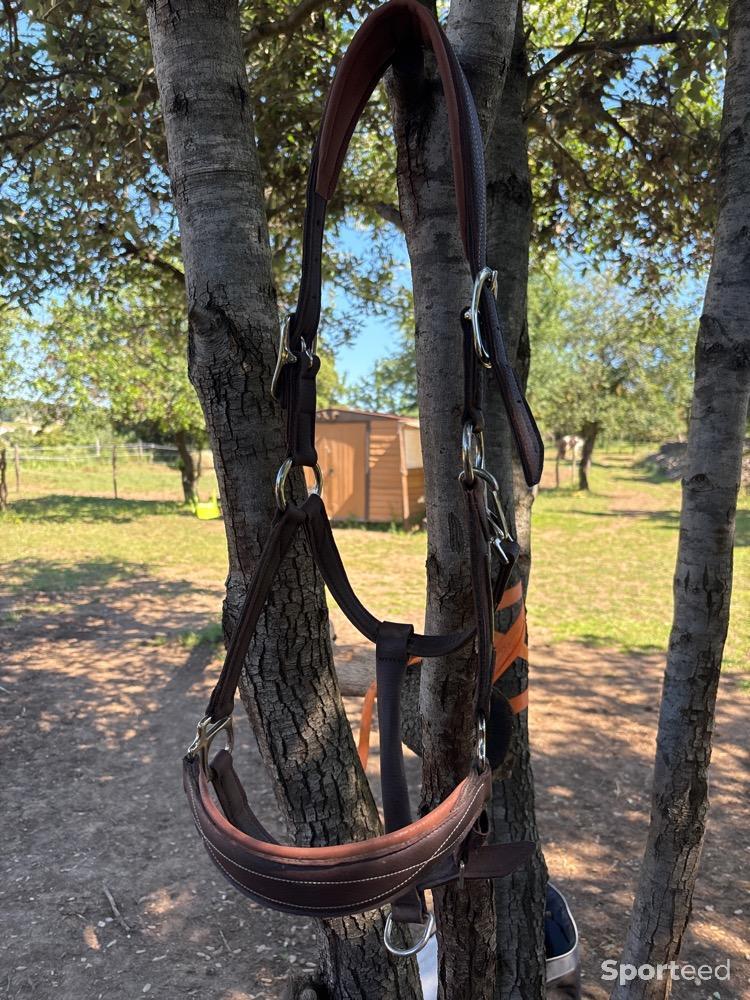 Equitation - Licol similicuir  - photo 1