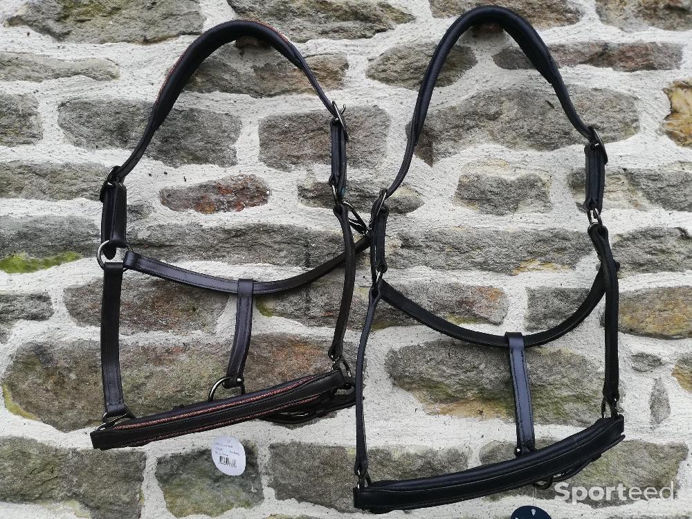 Equitation - licol cuir paillettes neufs noir ou marron, cob ou cheval  - photo 2