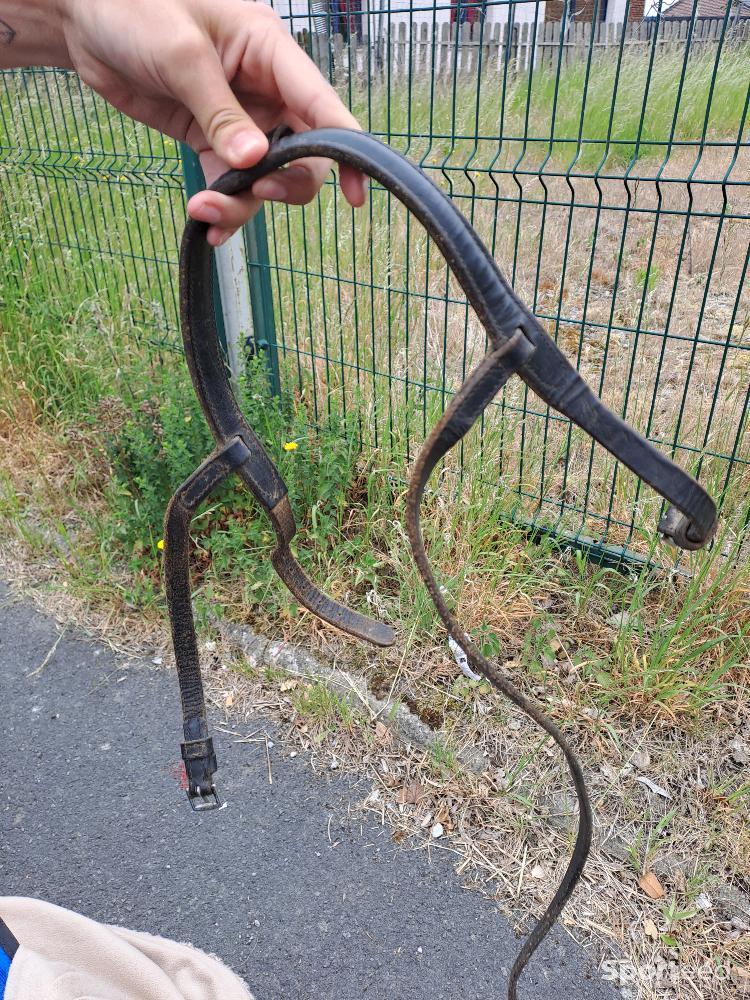 Equitation - Muserolle cuir - photo 1