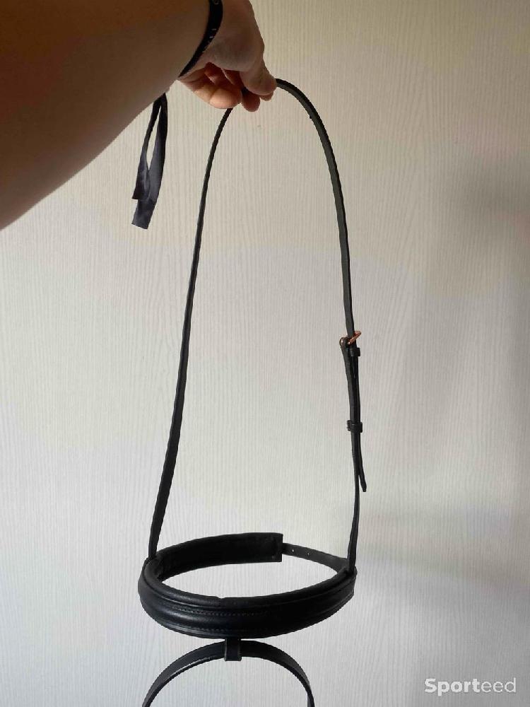 Equitation - Muserolle avec noseband  - photo 1