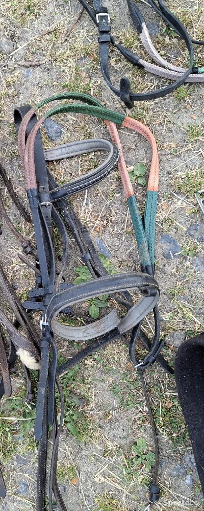 Equitation - Bridon + renes - photo 1