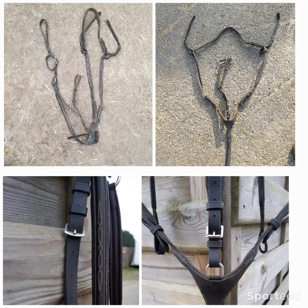 Equitation - Martingale +collier de chasse 5 point - photo 1