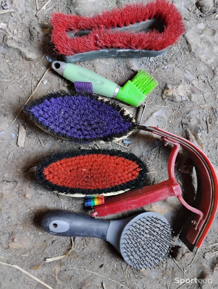 Equitation - Lot de brosses  - photo 1