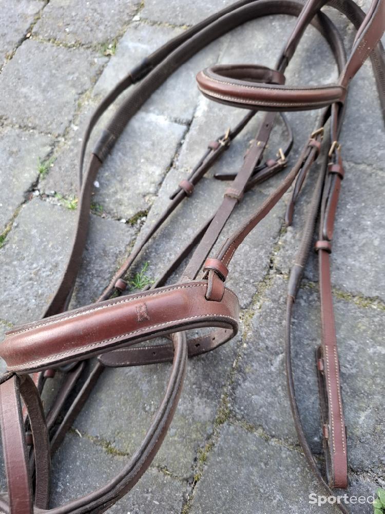 Equitation - Bridon - photo 1