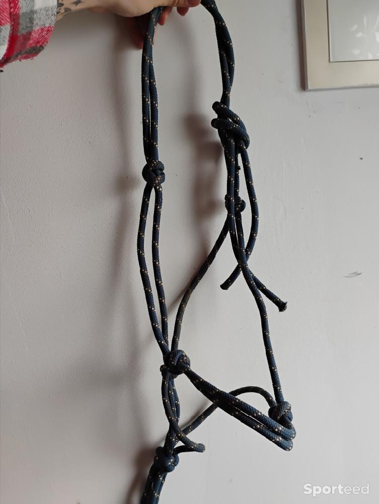 Equitation - Licol éthologique  - photo 1