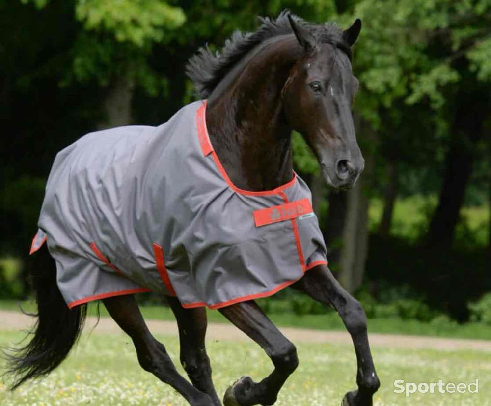 Equitation - Couverture impermeable bucas + couvre cou - photo 1